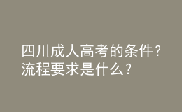 四川成人高考的條件？流程要求是什么？
