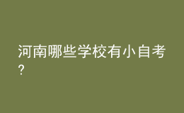 河南哪些學校有小自考?