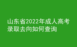 山東省2022年成人高考錄取去向如何查詢？通知書怎么發(fā)放？