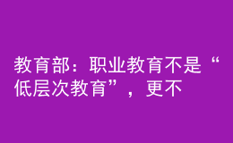 教育部：職業(yè)教育不是“低層次教育”，更不是“淘汰教育”