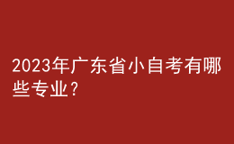 2023年廣東省小自考有哪些專業(yè)？ 