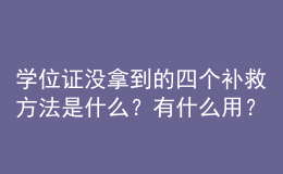 學位證沒拿到的四個補救方法是什么？有什么用？ 