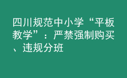 四川規(guī)范中小學(xué)“平板教學(xué)”：嚴(yán)禁強(qiáng)制購(gòu)買(mǎi)、違規(guī)分班