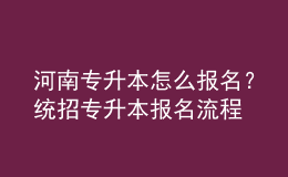 河南專升本怎么報(bào)名？統(tǒng)招專升本報(bào)名流程