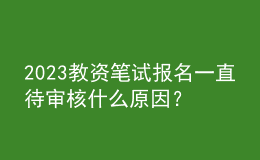 2023教資筆試報名一直待審核什么原因？