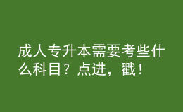 成人專升本需要考些什么科目？點進(jìn)，戳！