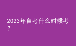 2023年自考什么時候考？ 