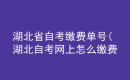 湖北省自考繳費單號(湖北自考網上怎么繳費)