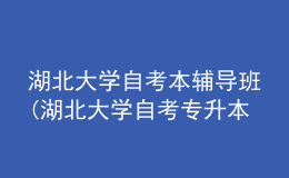 湖北大學(xué)自考本輔導(dǎo)班(湖北大學(xué)自考專升本選修課怎么報(bào)名)