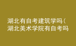 湖北有自考建筑學嗎(湖北美術學院有自考嗎)