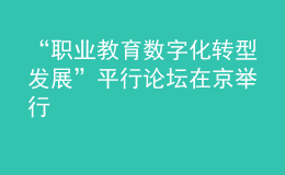 “職業(yè)教育數(shù)字化轉型發(fā)展”平行論壇在京舉行
