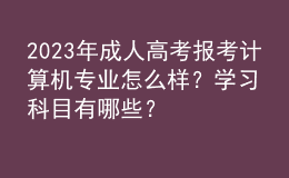 2023年成人高考報考計算機(jī)專業(yè)怎么樣？學(xué)習(xí)科目有哪些？
