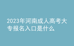 2023年河南成人高考大專報(bào)名入口是什么？復(fù)習(xí)方法有哪些？