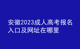 安徽2023成人高考報(bào)名入口及網(wǎng)址在哪里？