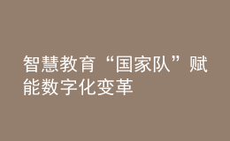 智慧教育“國(guó)家隊(duì)”賦能數(shù)字化變革