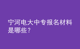 寧河電大中專報名材料是哪些？