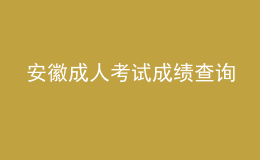 安徽成人考試成績查詢