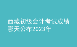 西藏初級會計考試成績哪天公布2023年