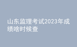 山東監(jiān)理考試2023年成績(jī)啥時(shí)候查
