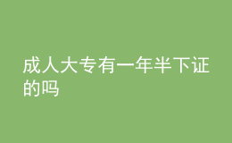 成人大專有一年半下證的嗎 