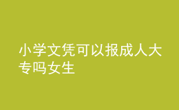 小學(xué)文憑可以報(bào)成人大專嗎女生 