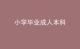 小學(xué)畢業(yè)成人本科 