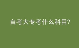 自考大專考什么科目?