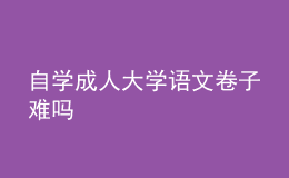 自學(xué)成人大學(xué)語(yǔ)文卷子難嗎 