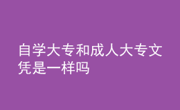 自學(xué)大專(zhuān)和成人大專(zhuān)文憑是一樣嗎 