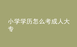 小學學歷怎么考成人大專