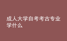 成人大學(xué)自考考古專業(yè)學(xué)什么