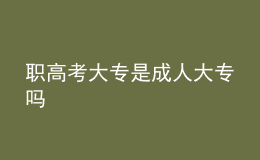 職高考大專是成人大專嗎