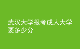 武漢大學(xué)報(bào)考成人大學(xué)要多少分