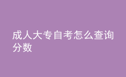 成人大專自考怎么查詢分?jǐn)?shù) 