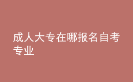 成人大專在哪報(bào)名自考專業(yè) 