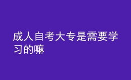成人自考大專(zhuān)是需要學(xué)習(xí)的嘛 