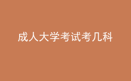 成人大學(xué)考試考幾科