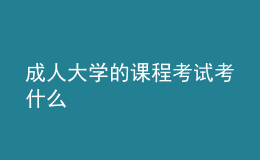 成人大學(xué)的課程考試考什么