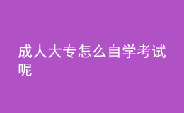 成人大專怎么自學考試呢 