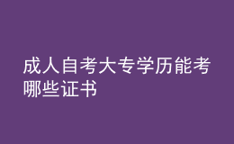 成人自考大專(zhuān)學(xué)歷能考哪些證書(shū) 
