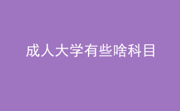 成人大學有些啥科目