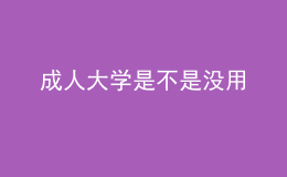 成人大學(xué)是不是沒(méi)用