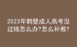 2023年鶴壁成人高考沒過線怎么辦?怎么補(bǔ)救?