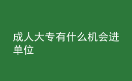 成人大專有什么機會進單位