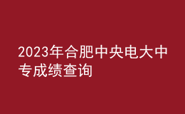 2023年合肥中央電大中專成績查詢