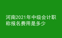 河南2021年中級會(huì)計(jì)職稱報(bào)名費(fèi)用是多少錢？