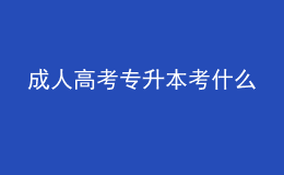 成人高考專升本考什么