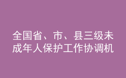 全國(guó)省、市、縣三級(jí)未成年人保護(hù)工作協(xié)調(diào)機(jī)制實(shí)現(xiàn)全覆蓋