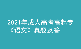 2021年成人高考高起?！墩Z文》真題及答案