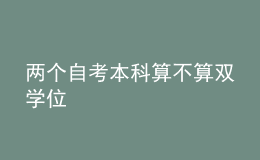 兩個自考本科算不算雙學位